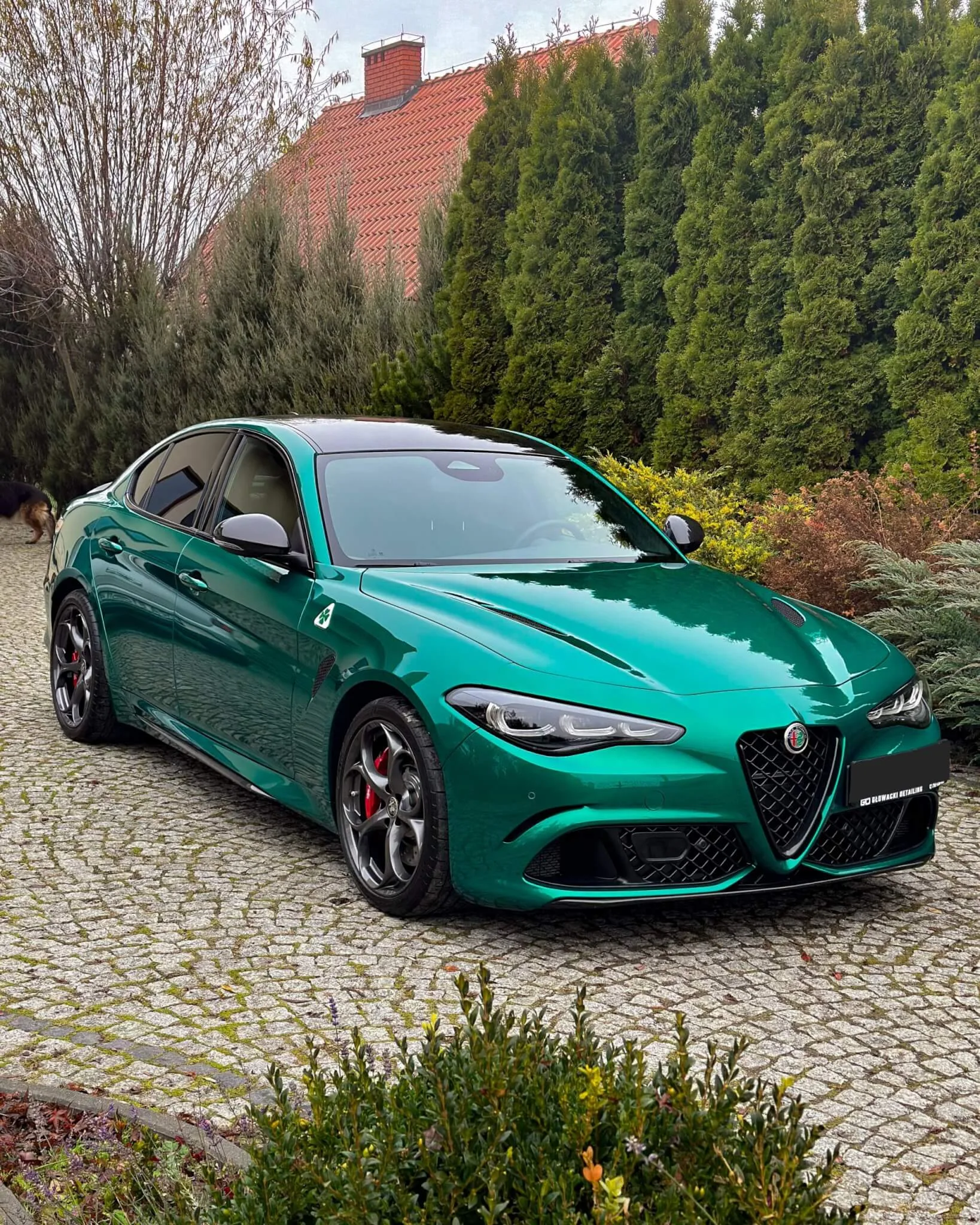 Alfa Romeo Giulia Quadrifoglio 510HP Folia PPF