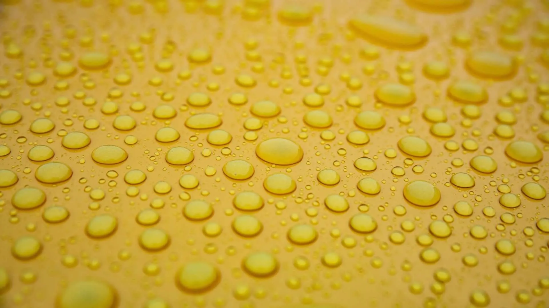 Najczęstsze Mity o Powłokach Ceramicznych