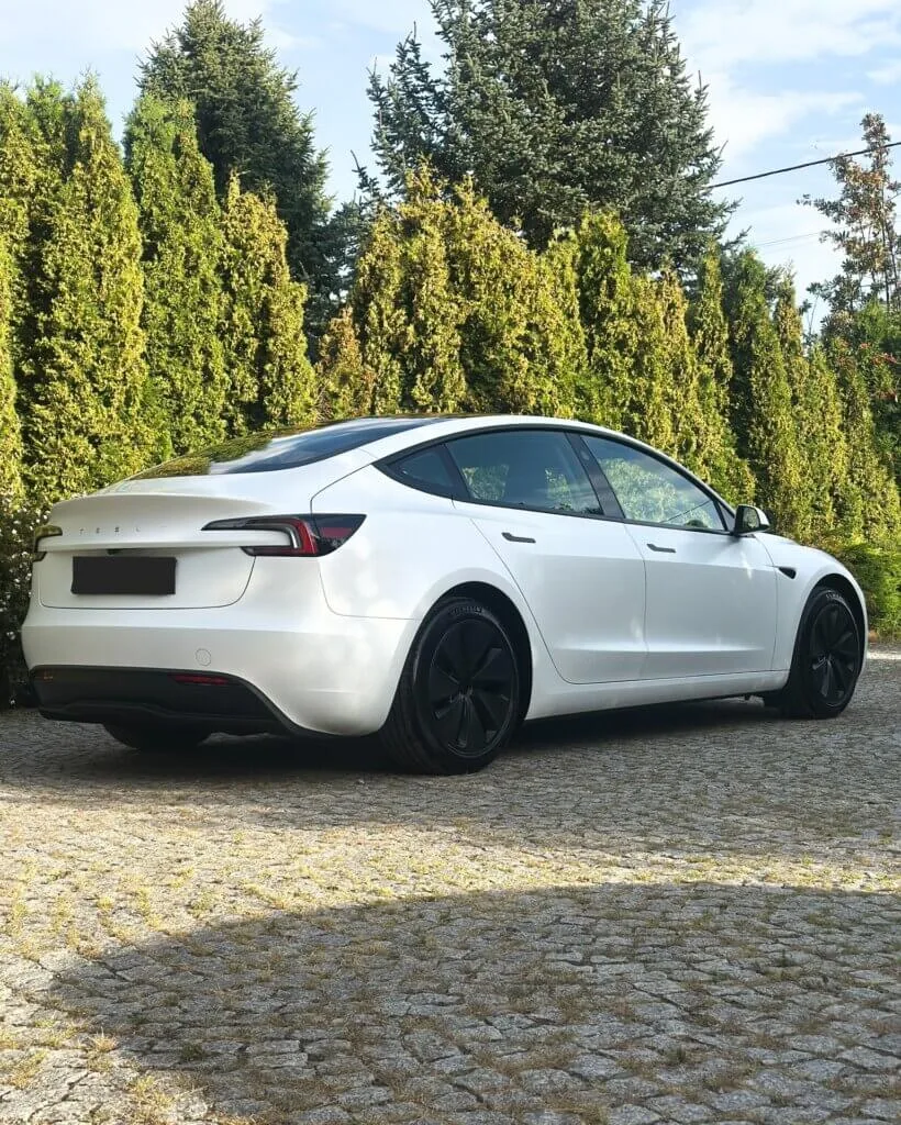 Tesla 3 Mrożenie lakieru