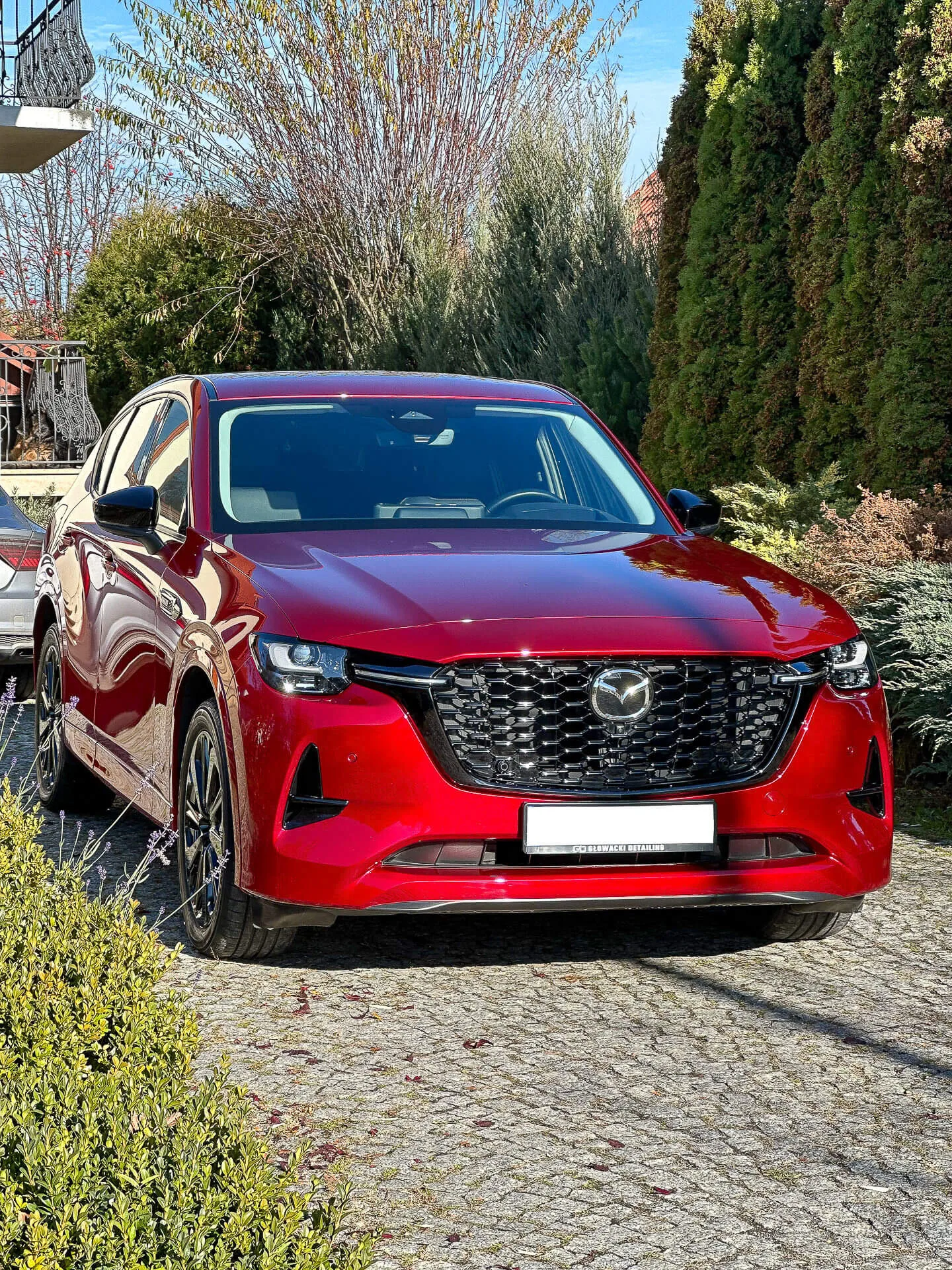 Mazda CX-60 Full body PPF - Mazda CX 60 Full body PPF