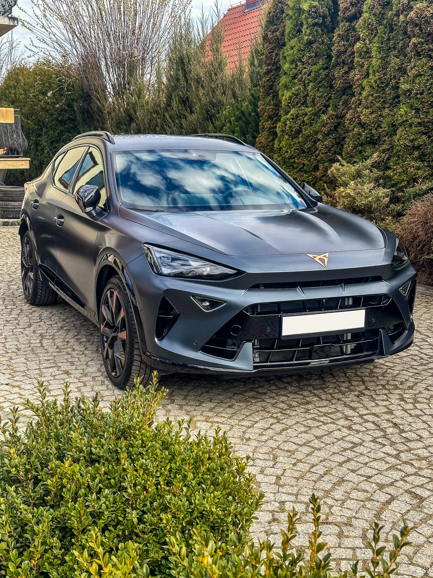 Cupra Formentor Full Body PPF